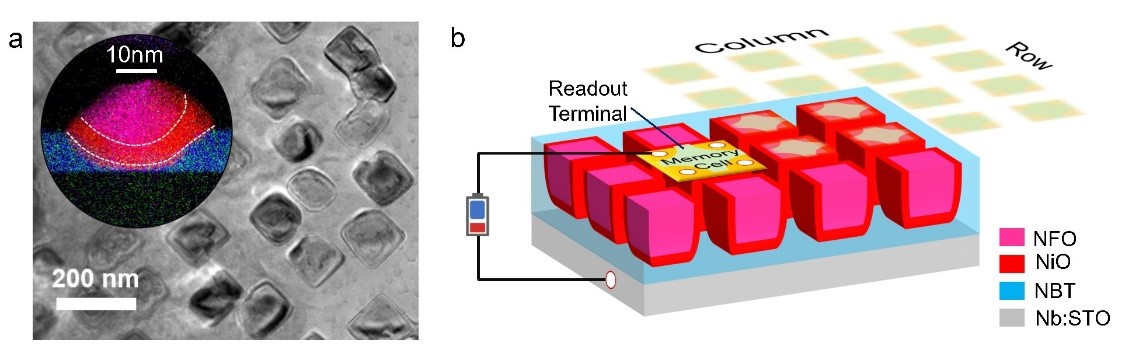 澳门威尼克斯人网站吴锐副研究员在《Nature Electronics》发表最新研究成果